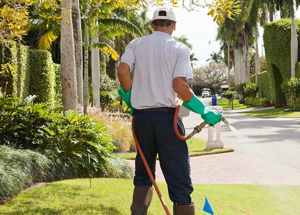About Cyclone WV Pest Control Pros